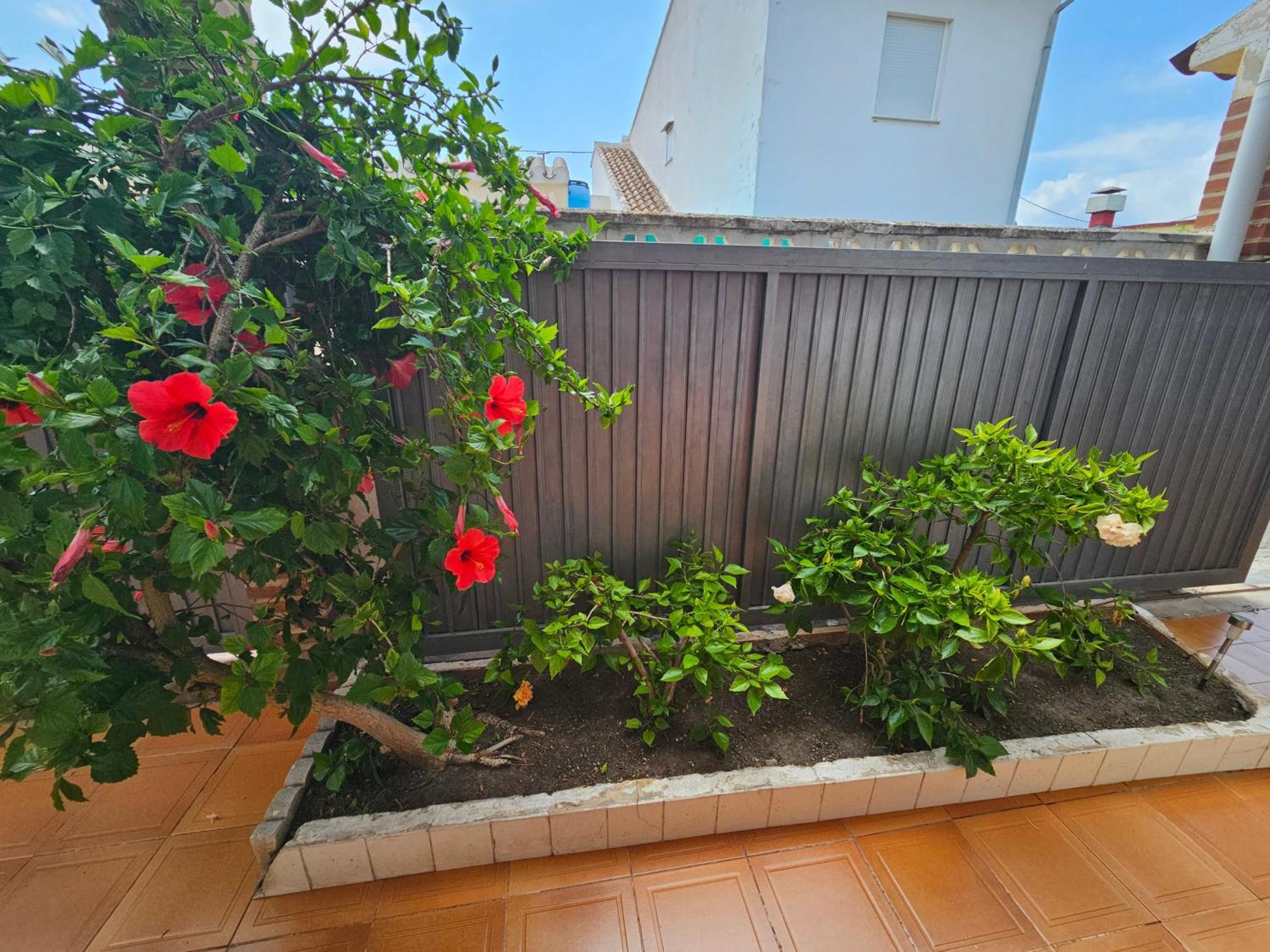 הוילה Casa De Playa En Oliva Al Lado Del Met Y Campo De Golf מראה חיצוני תמונה
